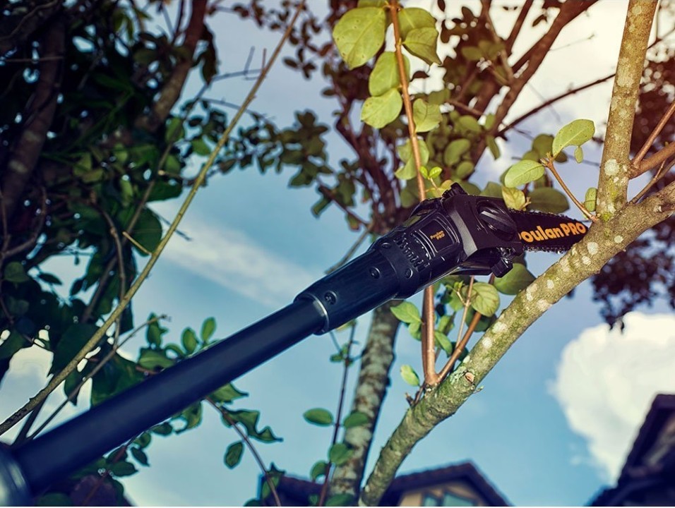 Best Electric Pole Saw