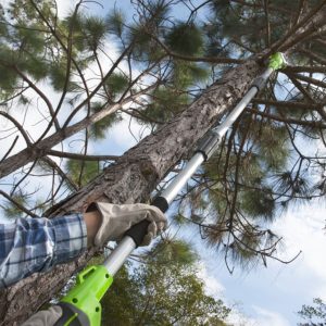 Best Electric Pole Saw