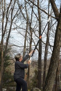 Best Electric Pole Saw