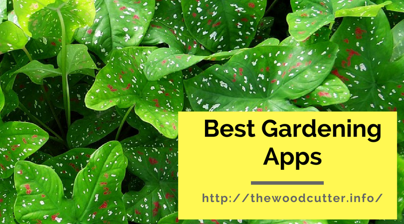 Must Have Best Gardening Apps For Your Smartphone