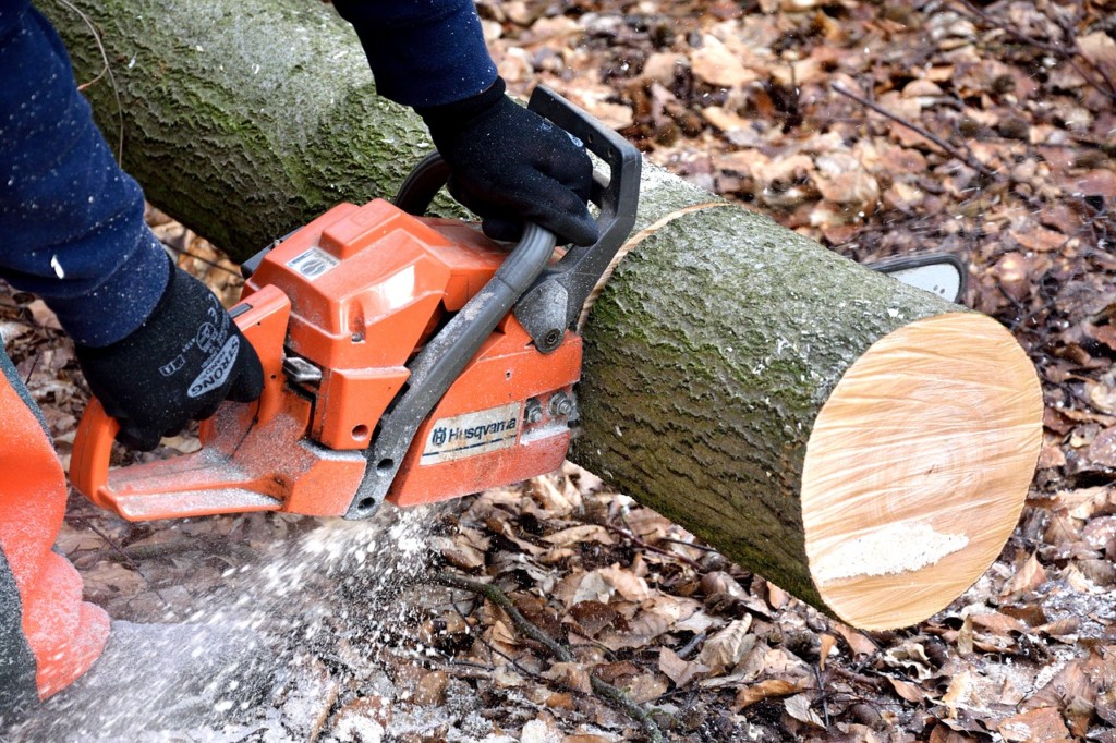 Electric Power Chainsaw for Your Gardening