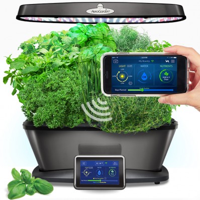 Best Sprout LED