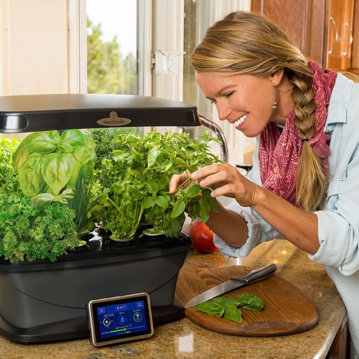 Best Sprout LED