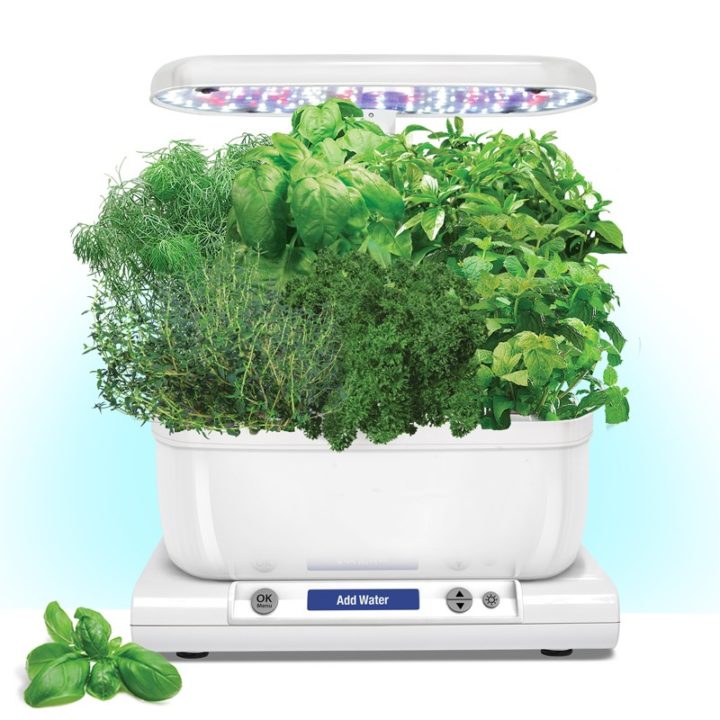 Best Aerogarden Reviews