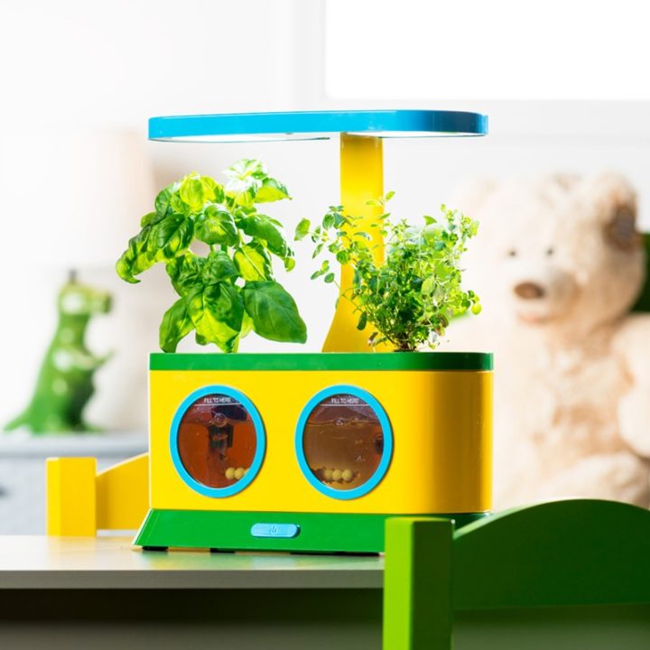Herb Seed Pod Kit