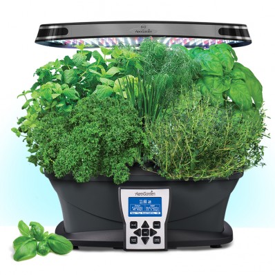 Best Aerogarden Reviews