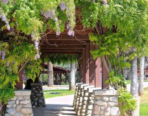 Decorate More Out Your Pergola On A Budget For This Summer
