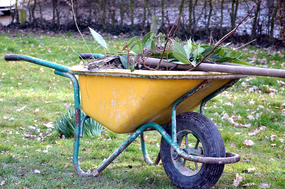 Best Wheelbarrow Reviews