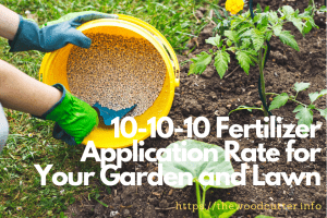 How To Apply 10-10-10 Fertilizer