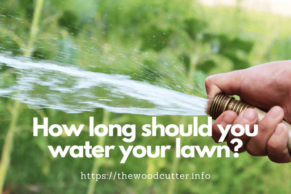 How Often Should I Water My Lawn? | The Wood Cutter