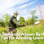 tips for aerating lawn