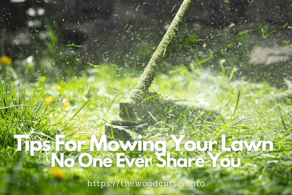 Tips For Mowing Your Lawn No One Ever Share You