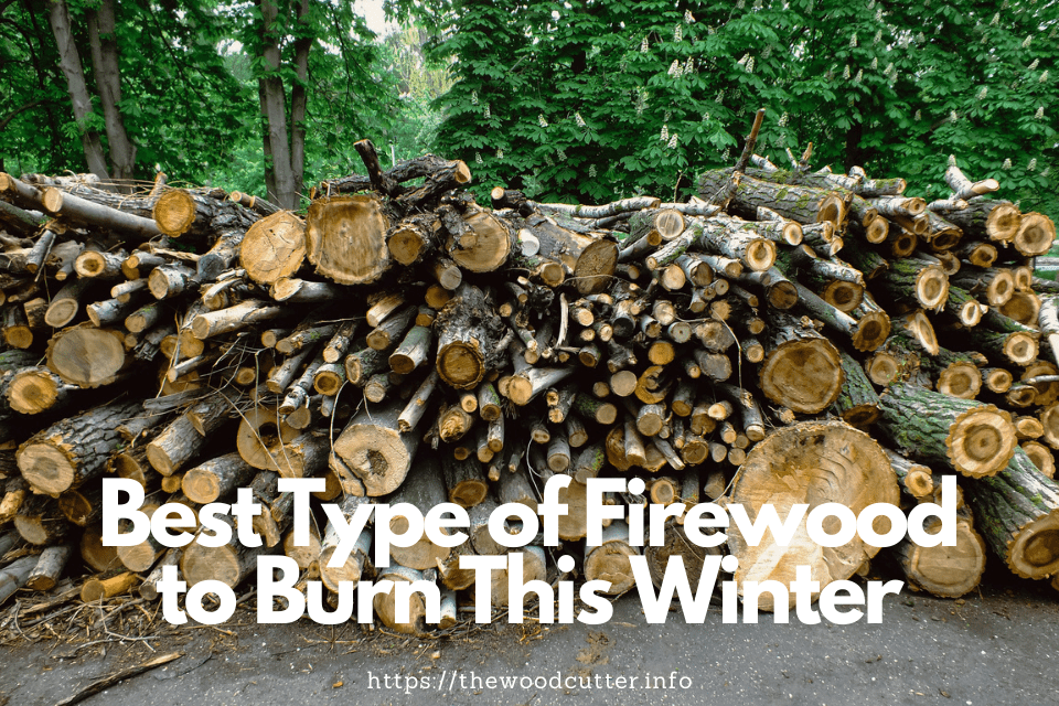 Best Types of Firewood for Your Fireplace or Wood Burning Stoves