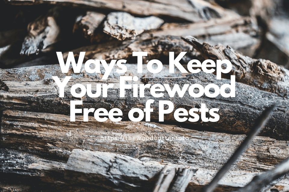 How To Deal With Termites In Firewood Tips To Keep Your Firewood Free