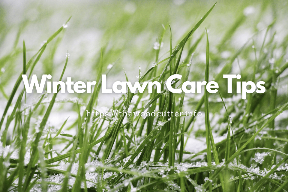 how-to-keep-grass-green-in-winter-winter-lawn-care-tips