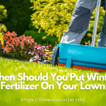 Should I Fertilize My Lawn In The Winter?