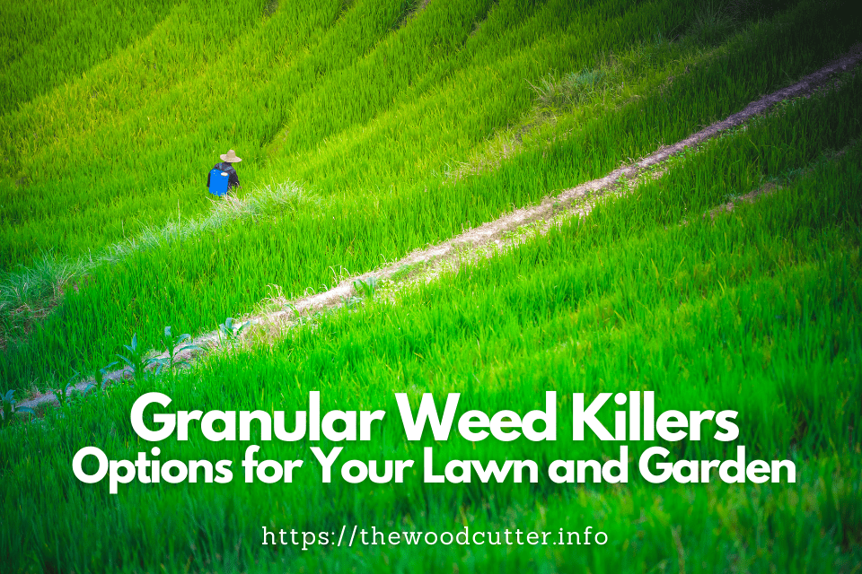 Best Granular Weed Killers For Lawn