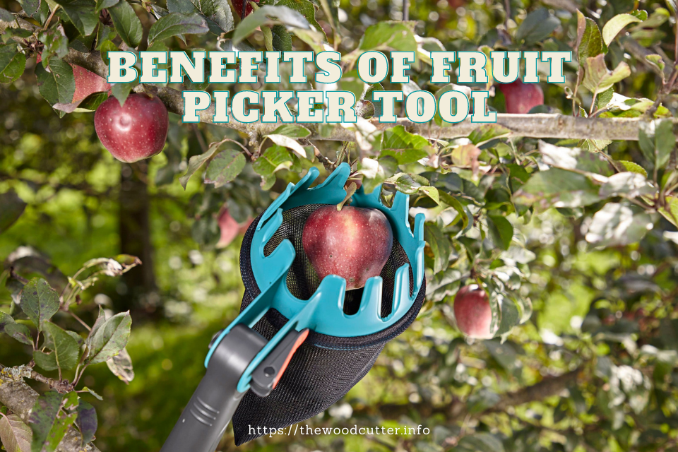 Benefits of Fruit Picker Tool