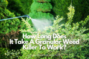 How Long Does It Take to Work for Granular Weed Killer