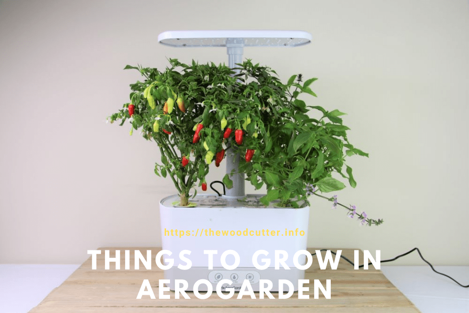 best things to grow in an aerogarden