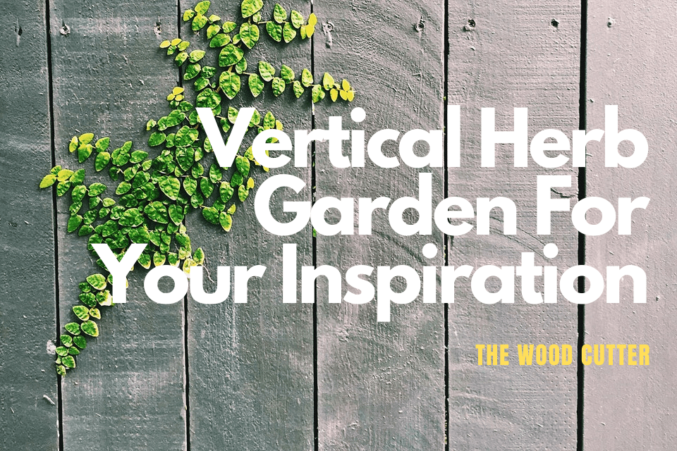 best plants for indoor vertical garden