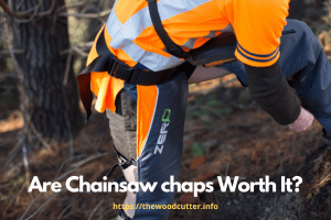 Are Chainsaw chaps Worth It