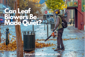 Can Leaf Blowers Be Made Quiet