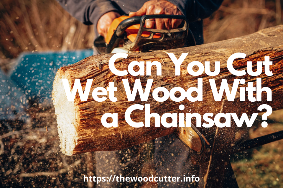 chainsaw and wood water｜TikTok Search