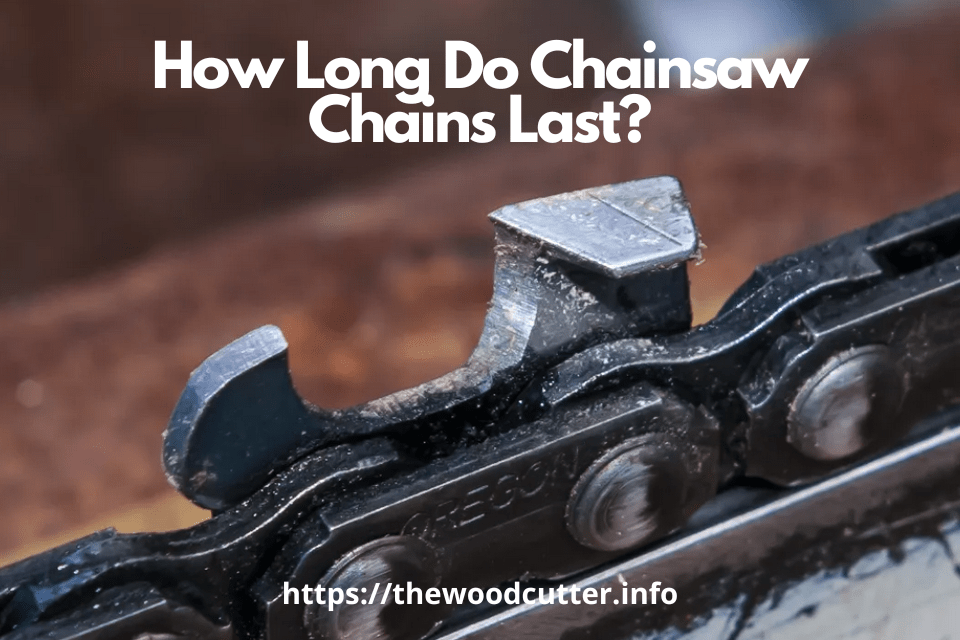 Top 4 Best Stihl Chainsaw Ever Made | The Wood Cutter