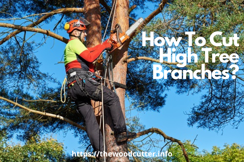 How To Cut High Tree Branches