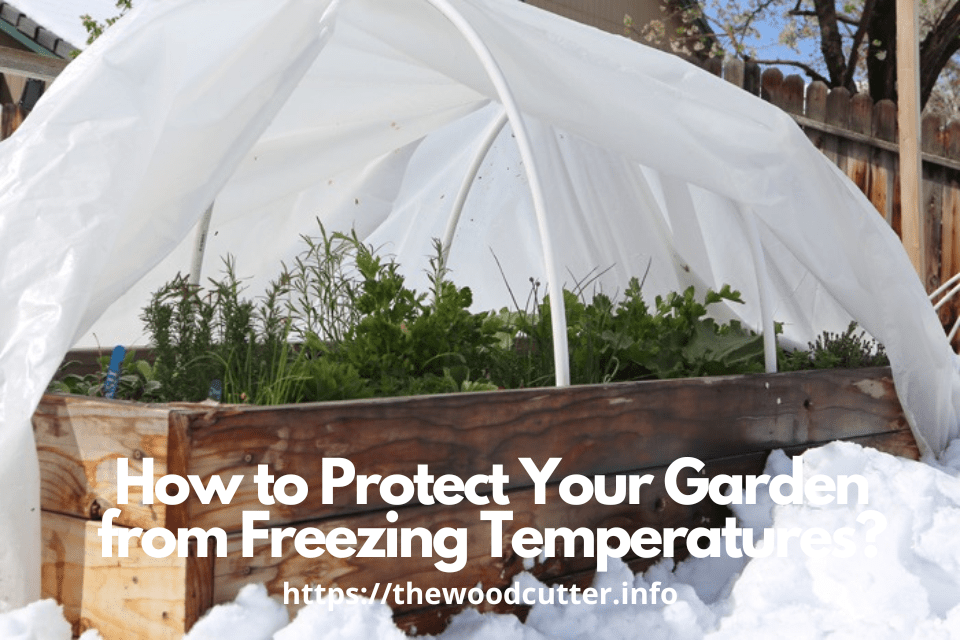 How to Protect Your Garden from Freezing Temperatures?