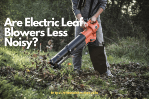 Are Electric Leaf Blowers Quieter