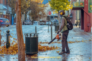 How to Use a Leaf Blower to Collect Leaves?