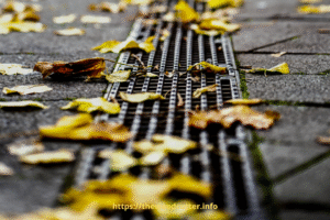 Should You Use a Leaf Blower to Clean Gutters?