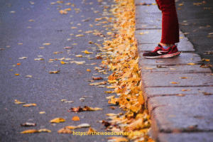 What to Do If You Put the Wrong Gas in a Leaf Blower?