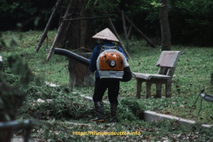 Can You Use a Leaf Blower on Wet Leaves?