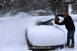 Can You Use a Leaf Blower to Remove Snow?